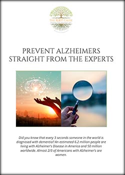Alzheimer's Guide